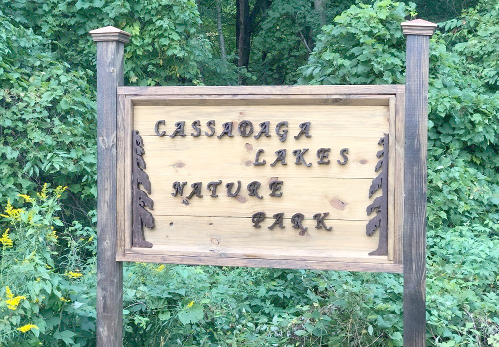 Cassadaga Lakes park receives state grant | News, Sports, Jobs - Vimarsana News